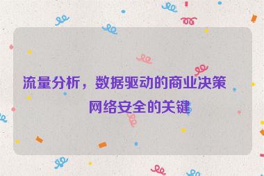 流量分析，數(shù)據(jù)驅(qū)動(dòng)的商業(yè)決策與網(wǎng)絡(luò)安全的關(guān)鍵