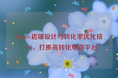 Shopify店鋪設(shè)計(jì)與轉(zhuǎn)化率優(yōu)化技巧，打造高轉(zhuǎn)化電商平臺(tái)