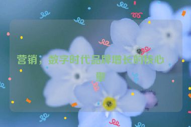 營(yíng)銷，數(shù)字時(shí)代品牌增長(zhǎng)的核心引擎