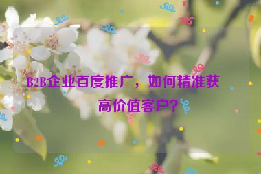 B2B企業(yè)百度推廣，如何精準(zhǔn)獲取高價(jià)值客戶？