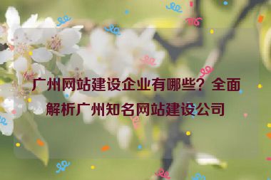 廣州網(wǎng)站建設(shè)企業(yè)有哪些？全面解析廣州知名網(wǎng)站建設(shè)公司