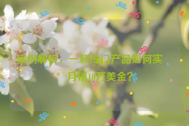 案例解析，一款冷門(mén)產(chǎn)品如何實(shí)現(xiàn)月銷(xiāo)10萬(wàn)美金？