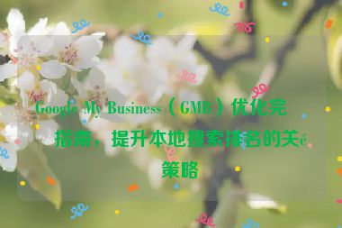 Google My Business（GMB）優(yōu)化完整指南，提升本地搜索排名的關(guān)鍵策略