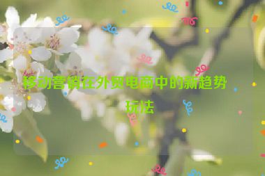 移動(dòng)營(yíng)銷(xiāo)在外貿(mào)電商中的新趨勢(shì)與玩法