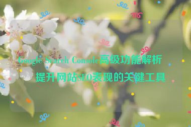 Google Search Console高級(jí)功能解析，提升網(wǎng)站SEO表現(xiàn)的關(guān)鍵工具
