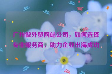 廣州做外貿(mào)網(wǎng)站公司，如何選擇專業(yè)服務(wù)商，助力企業(yè)出海成功
