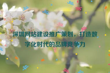 深圳網(wǎng)站建設(shè)推廣策劃，打造數(shù)字化時代的品牌競爭力
