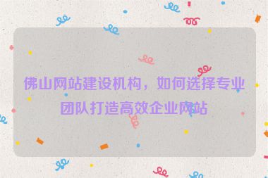 佛山網(wǎng)站建設(shè)機構(gòu)，如何選擇專業(yè)團隊打造高效企業(yè)網(wǎng)站