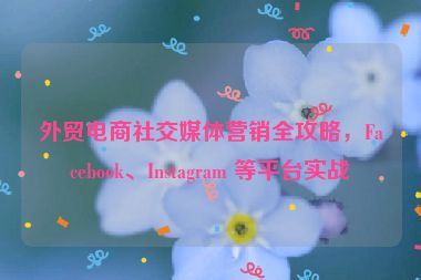 外貿(mào)電商社交媒體營(yíng)銷(xiāo)全攻略，F(xiàn)acebook、Instagram 等平臺(tái)實(shí)戰(zhàn)