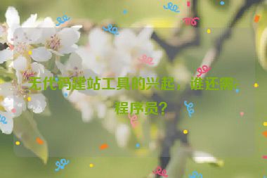 無代碼建站工具的興起，誰還需要程序員？