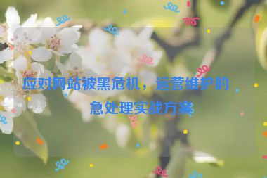 應對網(wǎng)站被黑危機，運營維護的應急處理實戰(zhàn)方案