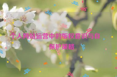 個(gè)人網(wǎng)站運(yùn)營中的版權(quán)意識(shí)與自我保護(hù)策略
