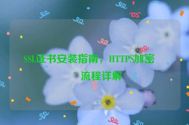 SSL證書安裝指南，HTTPS加密全流程詳解