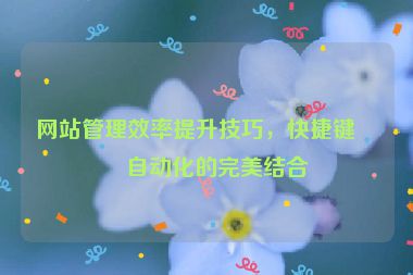 網(wǎng)站管理效率提升技巧，快捷鍵與自動化的完美結合