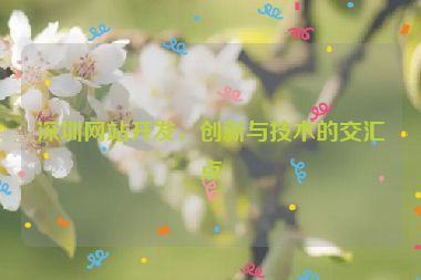 深圳網(wǎng)站開發(fā)，創(chuàng)新與技術(shù)的交匯點