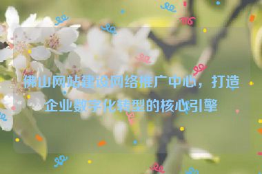 佛山網(wǎng)站建設(shè)網(wǎng)絡(luò)推廣中心，打造企業(yè)數(shù)字化轉(zhuǎn)型的核心引擎