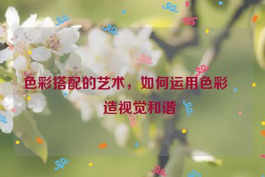 色彩搭配的藝術(shù)，如何運(yùn)用色彩創(chuàng)造視覺和諧