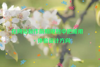 在網(wǎng)站制作前期規(guī)劃中把握用戶體驗(yàn)設(shè)計(jì)方向