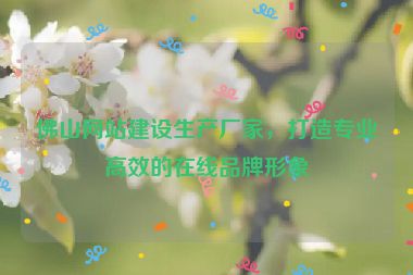 佛山網站建設生產廠家，打造專業(yè)高效的在線品牌形象