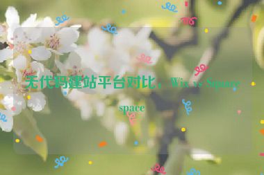 無代碼建站平臺對比，Wix vs Squarespace