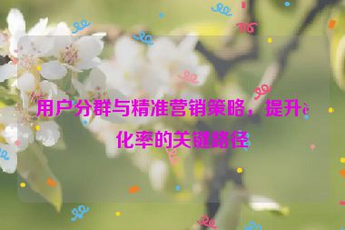 用戶分群與精準(zhǔn)營銷策略，提升轉(zhuǎn)化率的關(guān)鍵路徑