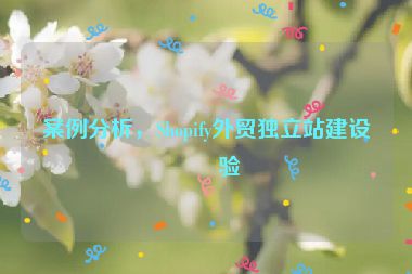 案例分析，Shopify外貿(mào)獨(dú)立站建設(shè)經(jīng)驗(yàn)