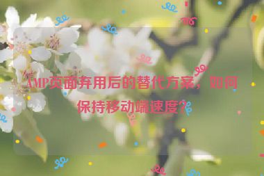 AMP頁面棄用后的替代方案，如何保持移動端速度？