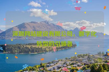深圳網(wǎng)站建設(shè)有限公司，數(shù)字化轉(zhuǎn)型的引領(lǐng)者
