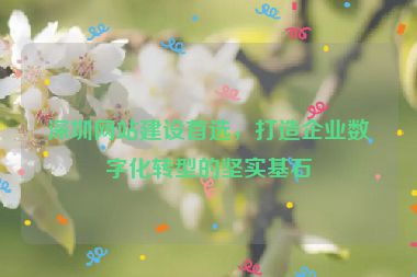 深圳網(wǎng)站建設(shè)首選，打造企業(yè)數(shù)字化轉(zhuǎn)型的堅(jiān)實(shí)基石