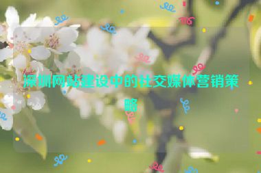 深圳網(wǎng)站建設(shè)中的社交媒體營銷策略