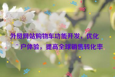 外貿(mào)網(wǎng)站購物車功能開發(fā)，優(yōu)化用戶體驗，提高全球銷售轉(zhuǎn)化率