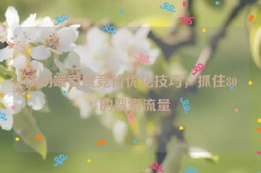 移動(dòng)端百度競價(jià)優(yōu)化技巧，抓住80%的搜索流量