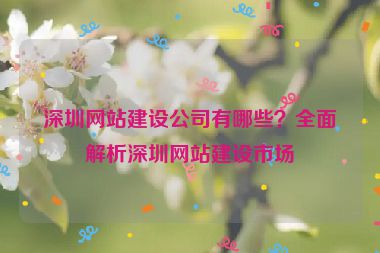 深圳網(wǎng)站建設(shè)公司有哪些？全面解析深圳網(wǎng)站建設(shè)市場