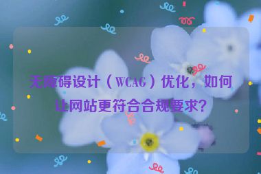 無障礙設(shè)計（WCAG）優(yōu)化，如何讓網(wǎng)站更符合合規(guī)要求？