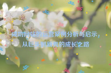 成功網(wǎng)站的運(yùn)營案例分析與啟示，從巨頭到新秀的成長之路