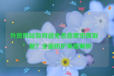 外貿(mào)網(wǎng)站如何避免惡意爬蟲抓取數(shù)據(jù)？全面防護策略解析