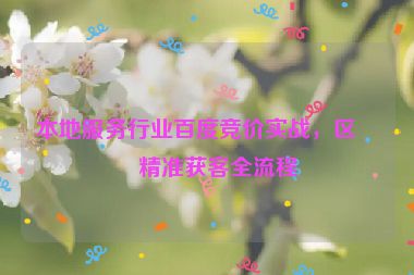 本地服務(wù)行業(yè)百度競價(jià)實(shí)戰(zhàn)，區(qū)域精準(zhǔn)獲客全流程