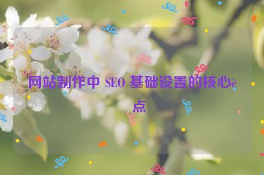 網(wǎng)站制作中 SEO 基礎(chǔ)設(shè)置的核心要點