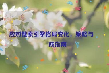 應(yīng)對搜索引擎格局變化，策略與實(shí)踐指南