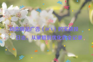 動態(tài)商品廣告（DCA）的實戰(zhàn)投放日志，從策略到優(yōu)化的全記錄