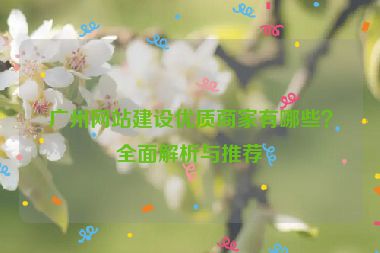 廣州網(wǎng)站建設(shè)優(yōu)質(zhì)商家有哪些？全面解析與推薦