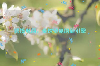 跨境電商，全球貿(mào)易的新引擎