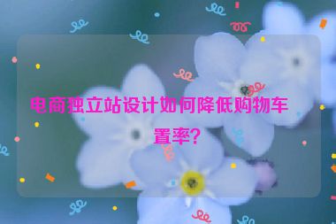 電商獨(dú)立站設(shè)計(jì)如何降低購(gòu)物車棄置率？