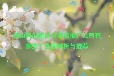 佛山網(wǎng)站建設(shè)與網(wǎng)絡(luò)推廣公司有哪些？全面解析與推薦