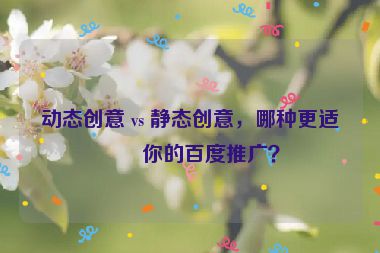 動(dòng)態(tài)創(chuàng)意 vs 靜態(tài)創(chuàng)意，哪種更適合你的百度推廣？