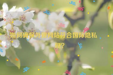 如何確保外貿(mào)網(wǎng)站符合國際隱私法規(guī)？
