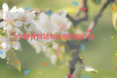 10個提升網站專業(yè)感的設計技巧
