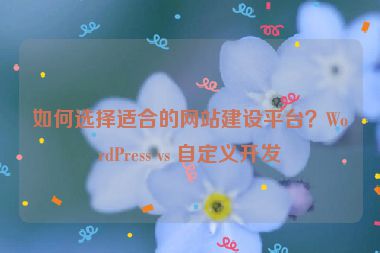 如何選擇適合的網(wǎng)站建設(shè)平臺(tái)？WordPress vs 自定義開(kāi)發(fā)