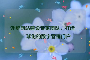外貿(mào)網(wǎng)站建設(shè)專家團(tuán)隊(duì)，打造全球化的數(shù)字營銷門戶
