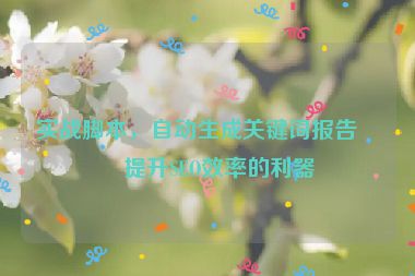 實戰(zhàn)腳本，自動生成關鍵詞報告—提升SEO效率的利器